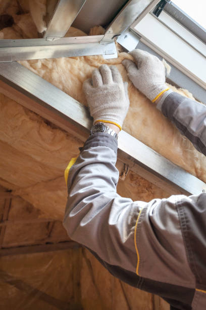 Best Cellulose Insulation in Elon, NC