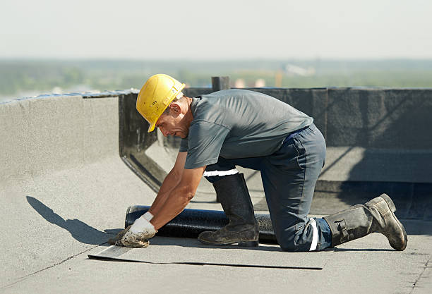 Best Eco-Friendly Insulation in Elon, NC