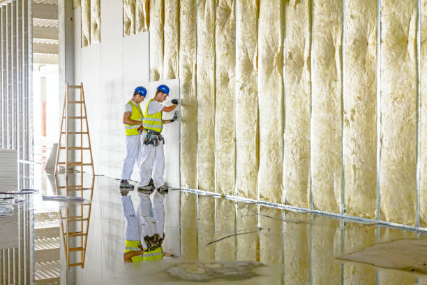 Best Insulation Maintenance and Repair in Elon, NC
